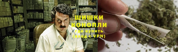a pvp Гусев