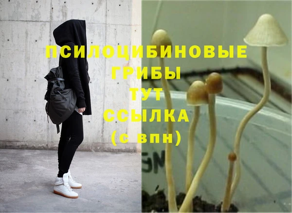 герыч Гусиноозёрск