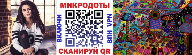 Купить где  Порхов  Псилоцибиновые грибы Psilocybe 